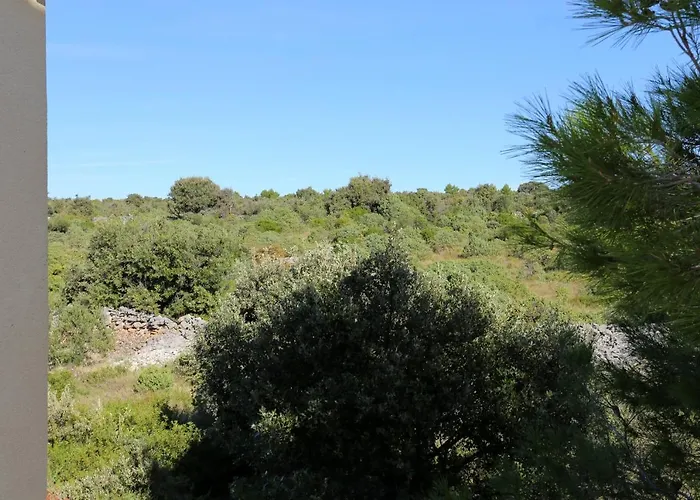 10339b Appartement *